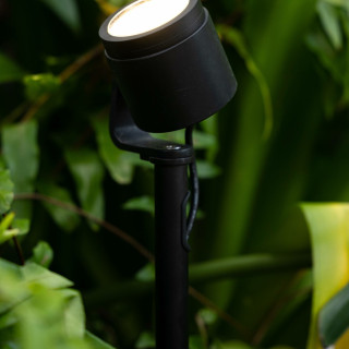 Spotlights