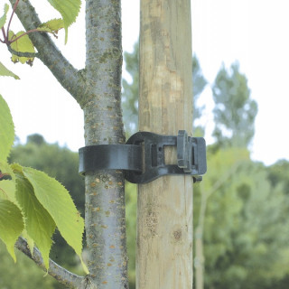 Tree Protection