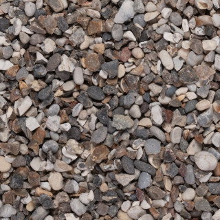Oyster Pebbles