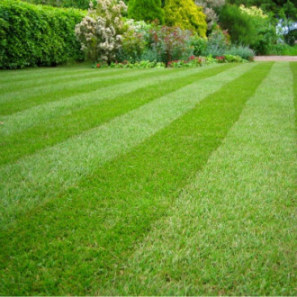 Velvit Autumn Winter Fertiliser 4-12-12 20kg Bag