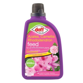 Doff Azalea Camellia & Rhododendron Feed 1 Litre