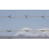 Tornado Titan Barbed Wire 200m