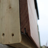 Cumaru Cladding FAS Kiln Dried