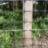 Deer Fencing Mesh 2m x 100m