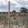 Tornado Deer Fencing LHT13/190/15 1.9m x 100m