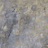 Global Stone Dinamike Invisible Grey Porcelain Paving 595 x 595mm Pack 23.04m²
