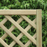 Tight Diamond Trellis Green