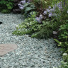 Green Slate Shale