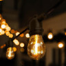 Luceco Festoon Lights