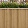 Millboard Envello Board & Batten+ Golden Oak 200 x 26mm x 3.6m