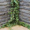 Global Stone Old Rectory Monsoon Sandstone Walling