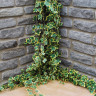 Global Stone Old Rectory Monsoon Sandstone Walling
