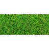 Namgrass Artificial Grass Solis (35mm) Per M²