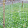 Tornado Poultry Fencing LHT15/158/8 158cm x 50m