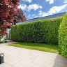 Global Stone Seran Oatmeal Porcelain Paving