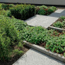 Schellevis Curb Anthracite