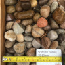 Scottish Pebbles & Cobbles 