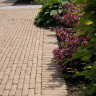 Vande Moortel Septim A Saffron (Unsanded Tumbled) Clay Paver