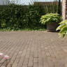 Vande Moortel Septim A Sepia (Unsanded Non-Tumbled) Clay Paver