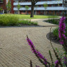 Vande Moortel Septim A Vanilla (Unsanded Non-Tumbled) Clay Paver