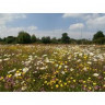Wild Flower Wet Loam 1kg Bag